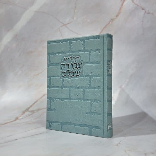 תהילים דגם כותל תכלת